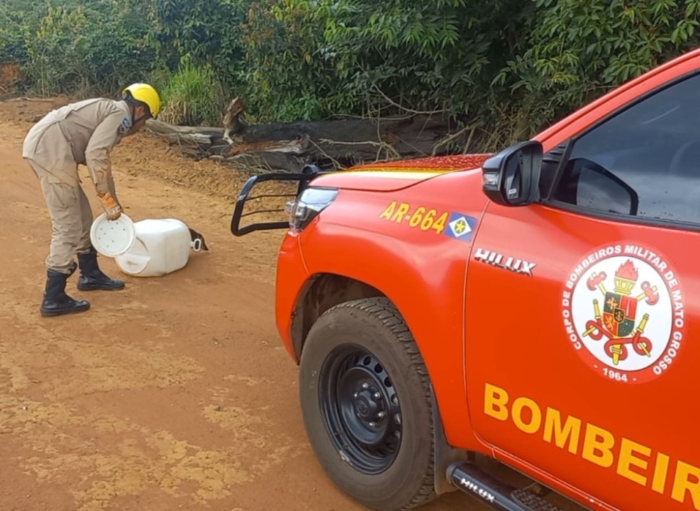 Corpo de Bombeiros resgata quati que estava preso no telhado de empresa