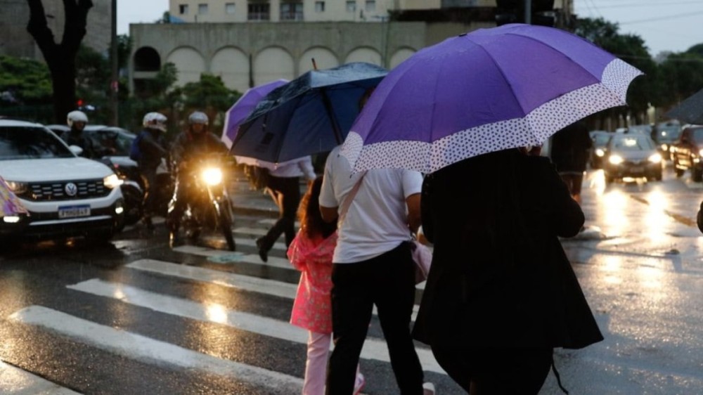 Chuvas em SP elevam risco de deslizamentos; veja como se proteger