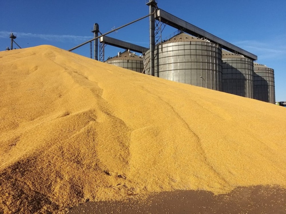 Suspensão de tributos para construção de silos pode sair do papel em 2024