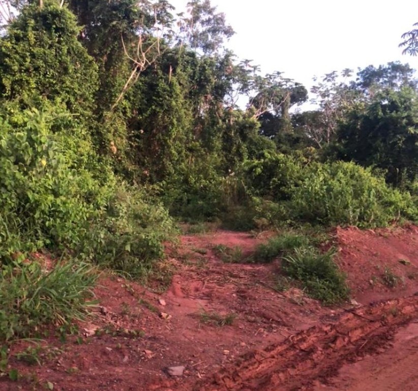 Executores de homicídio de vítima jogada em rio no nortão de MT são presos pela Polícia Civil
