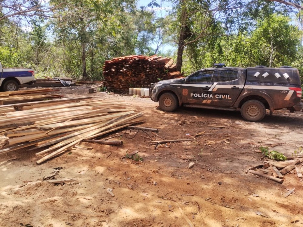 Operação conjunta desmantela esquema de extração ilegal de madeira em São Félix do Araguaia