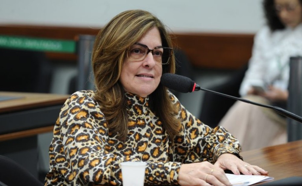 Projeto garante a autistas e vítimas de violência o direito de se hospedar com animal de suporte emocional