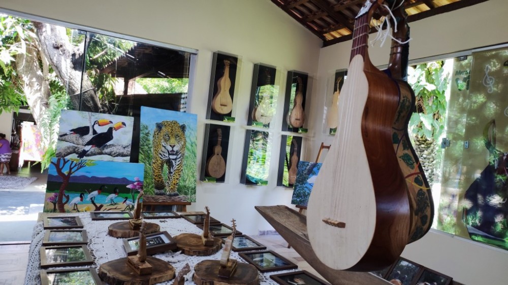 Museu realiza exposição sobre a viola de cocho em Santo Antônio de Leverger