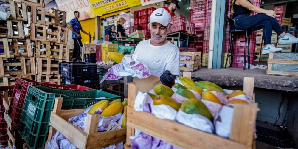 Conab registra queda de preços de frutas e hortaliças em dezembro