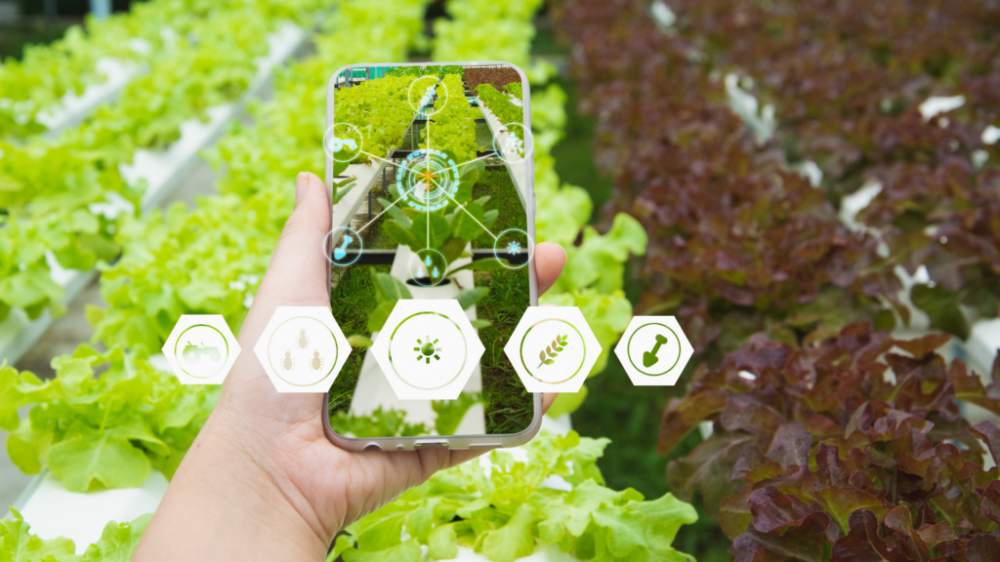 Sustentabilidade no agronegócio: desafios e soluções para o futuro da agricultura e pecuária