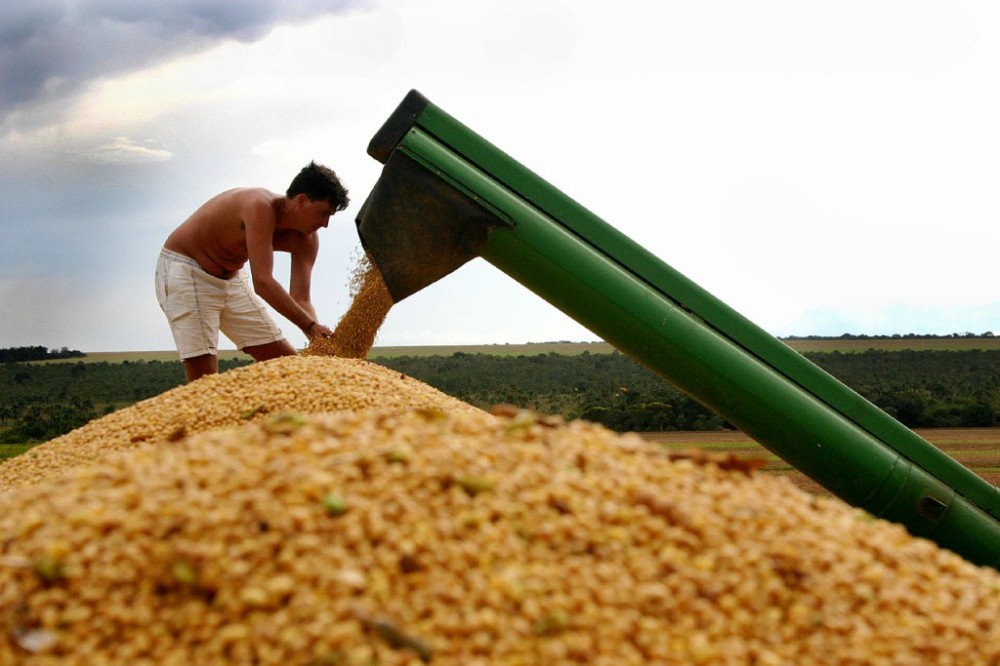 Produção de MT foi exportada para 23 novos países no ano passado