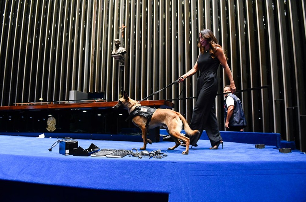 Cão de proteção para vítimas de violência doméstica visita Senado