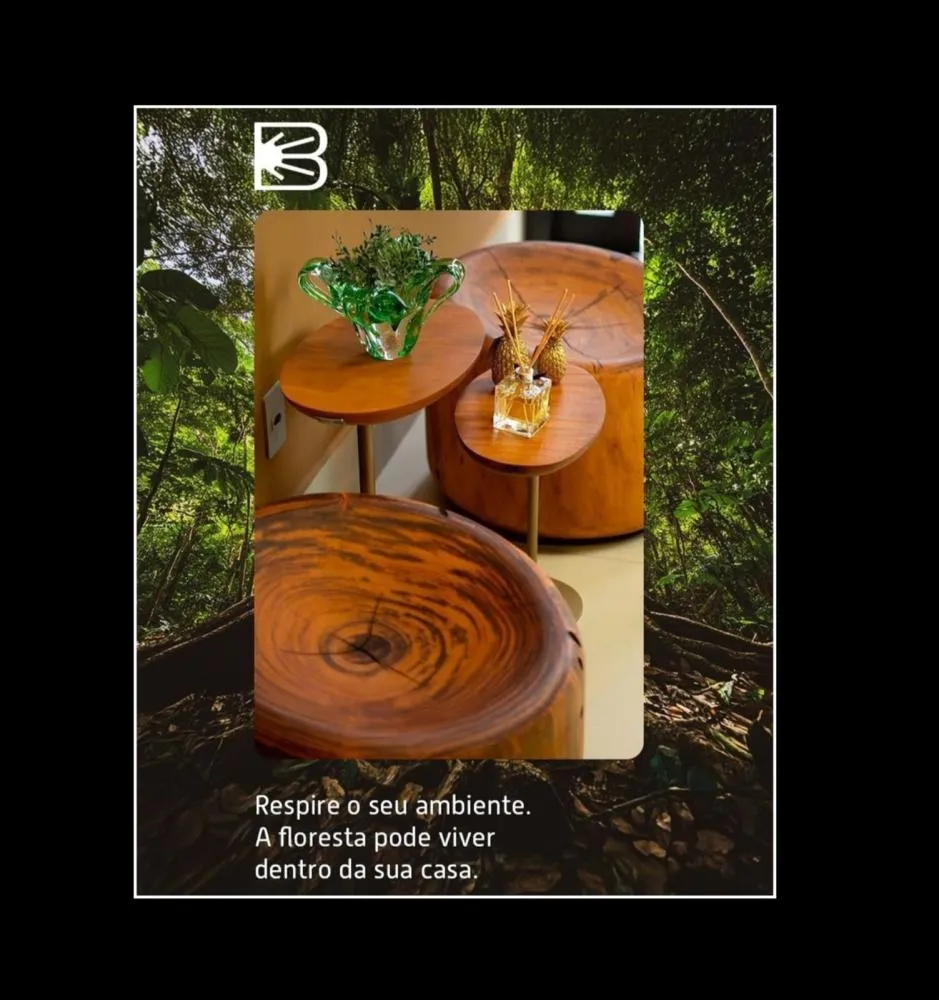Biomê Móveis Orgânicos. Obras de arte, práticas e acessíveis para “viverem” na sua casa!