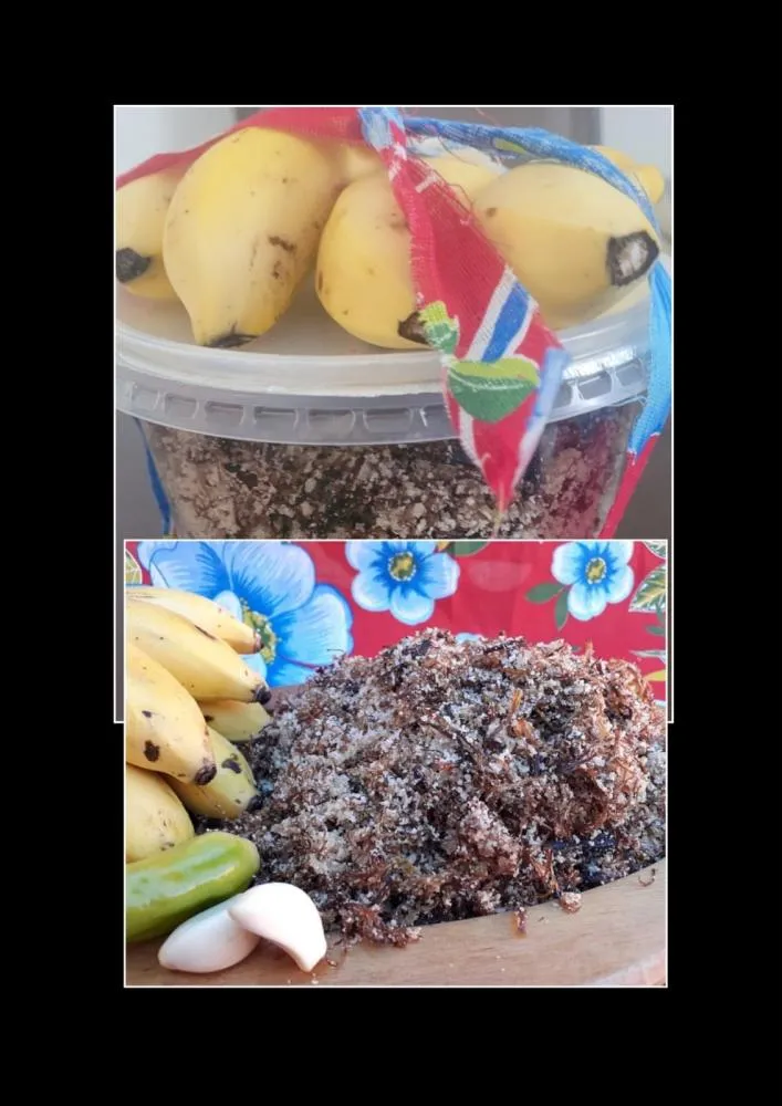 Cuiabaninha Paçoca a melhor Paçoca de Pilão da vida, pelas mãos talentosas da minha amiga Larissa Sodré: