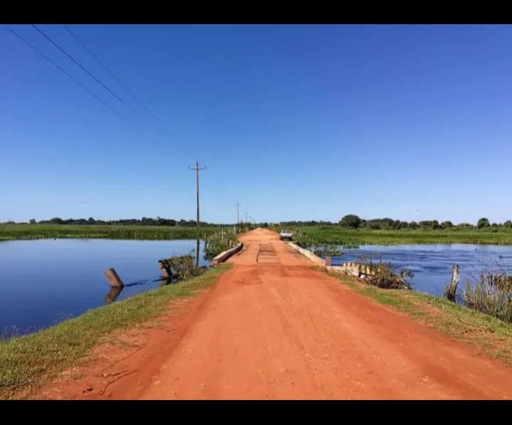 Coluna Anamaria: Conexão MT | RN por Anamaria Bianchini: O Pantanal que o mundo precisa conhecer: A alma de Mato Grosso!