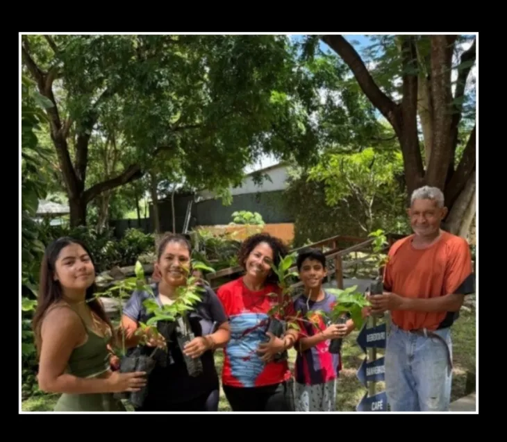 Coluna Anamaria: Museu promove dia do meio ambiente com doação de mudas,feira,oficinas para toda a família em todo o mês de junho!