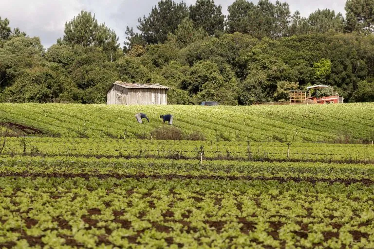 Projeto prevê validação automática do Cadastro Ambiental Rural para pequenas propriedades 
