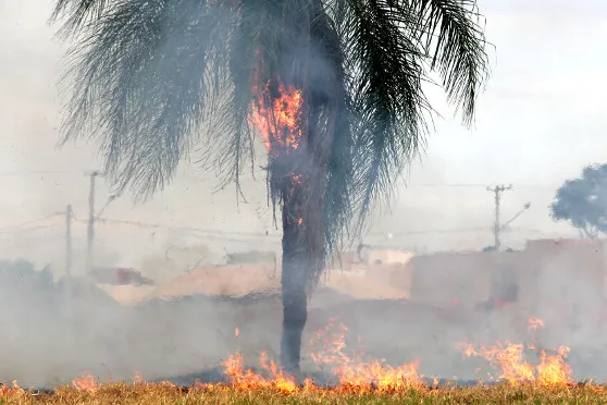 Prefeitura e Corpo de Bombeiros renovam parceria para fortalecer combate às queimadas em Várzea Grande