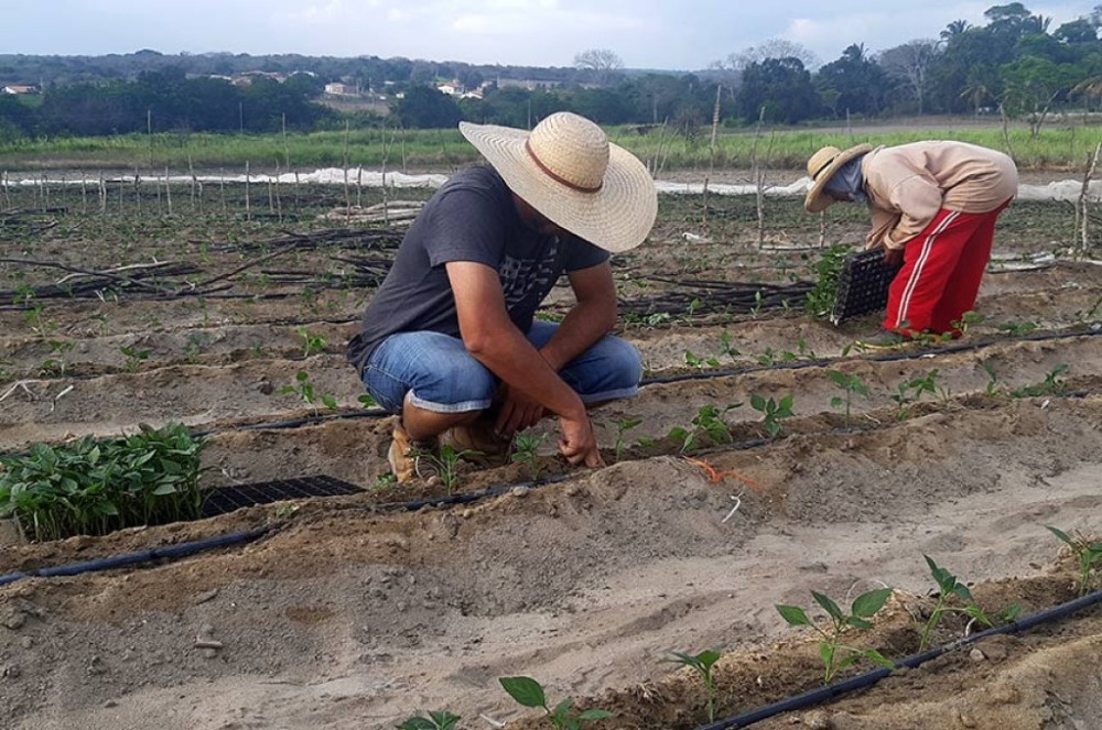 Projeto incentiva agricultura familiar na produção de biocombustíveis