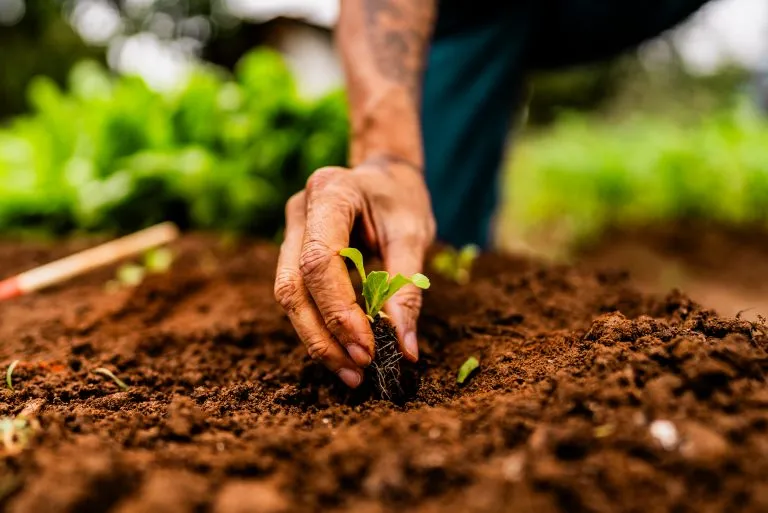 Legislação reforça proteção ao produtor rural - Foto: Getty Images 