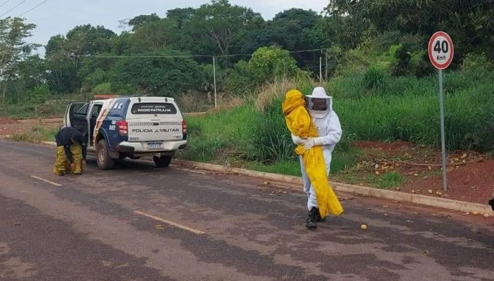Reprodução