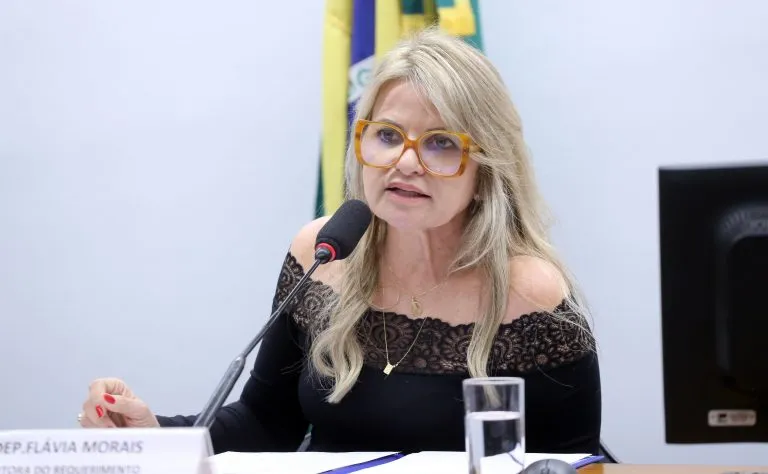 Flávia Morais lembrou que reforma tributária já reduziu em 60% os impostos sobre remédios em geral - Foto: Kayo Magalhães / Câmara dos Deputados