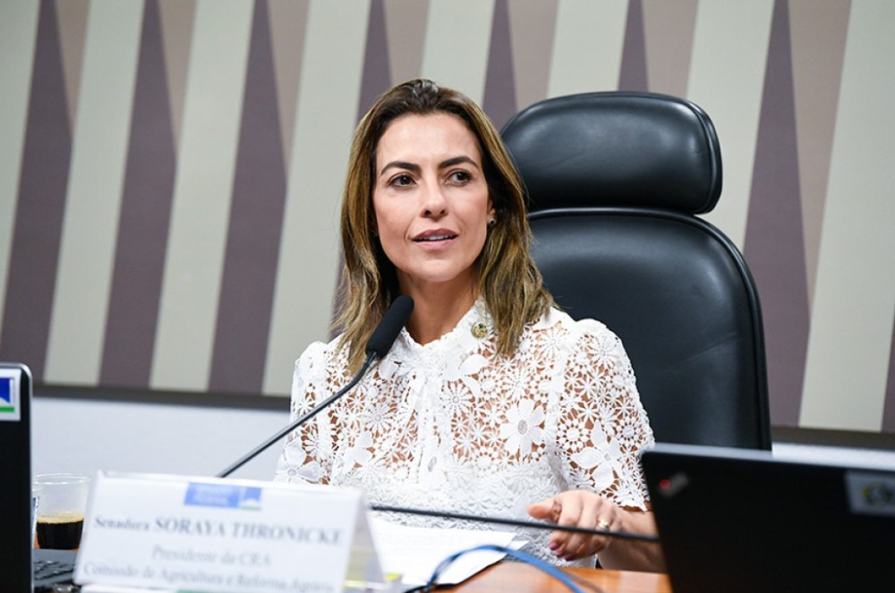 Senado analisa projeto para evitar invasão de competência legislativa