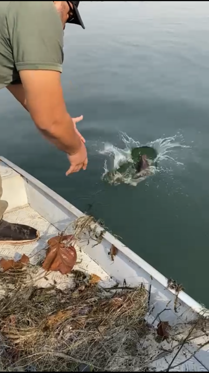 Pescador amador só pode atuar na modalidade 