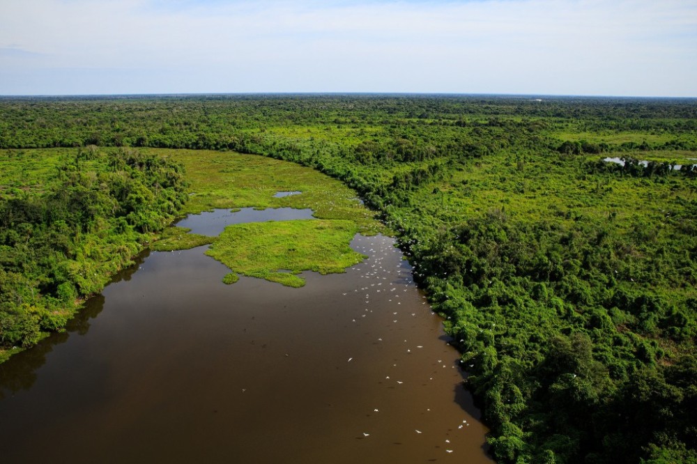 MT e MS desenvolverão plano integrado de combate a incêndios no Pantanal