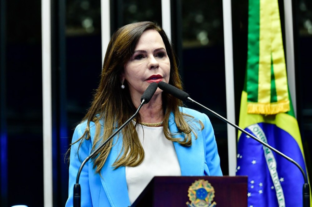 Dorinha alerta para fim do prazo do PNE, em junho deste ano