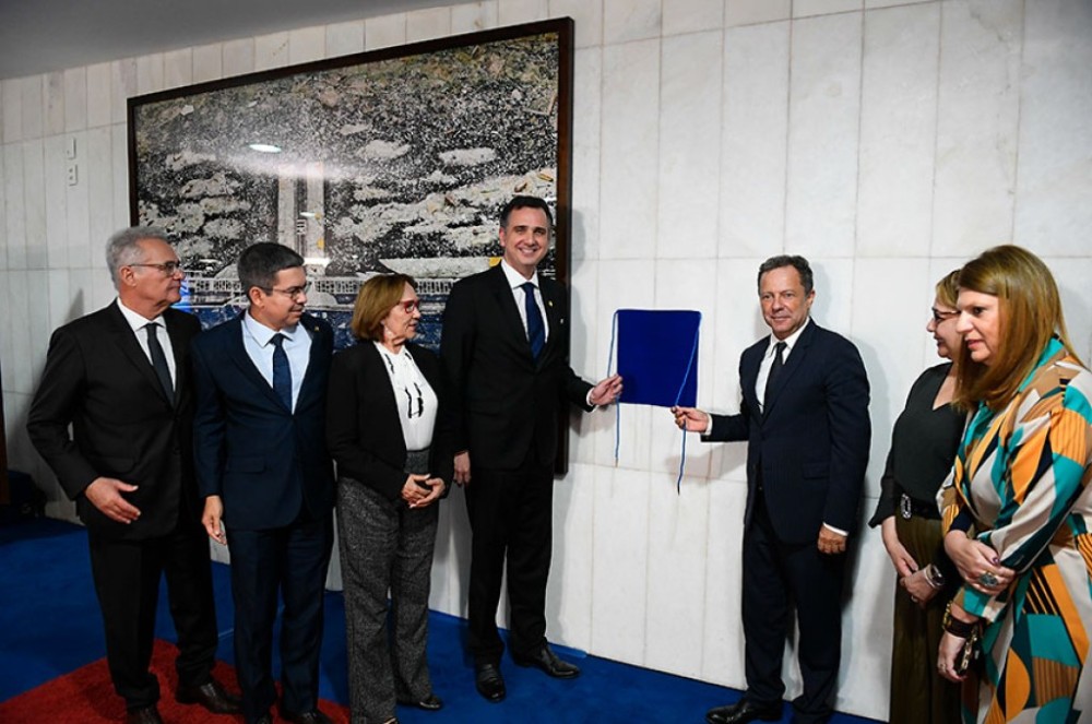 Senado inaugura exposição permanente de obra de Vik Muniz sobre o 8 de janeiro