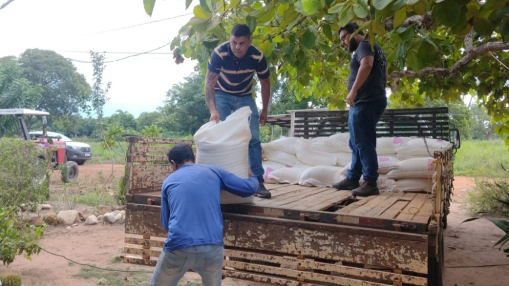 Projeto incentiva a criação de frango na comunidade rural