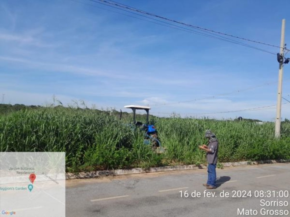 Município inicia limpeza de mais de 260 terrenos baldios