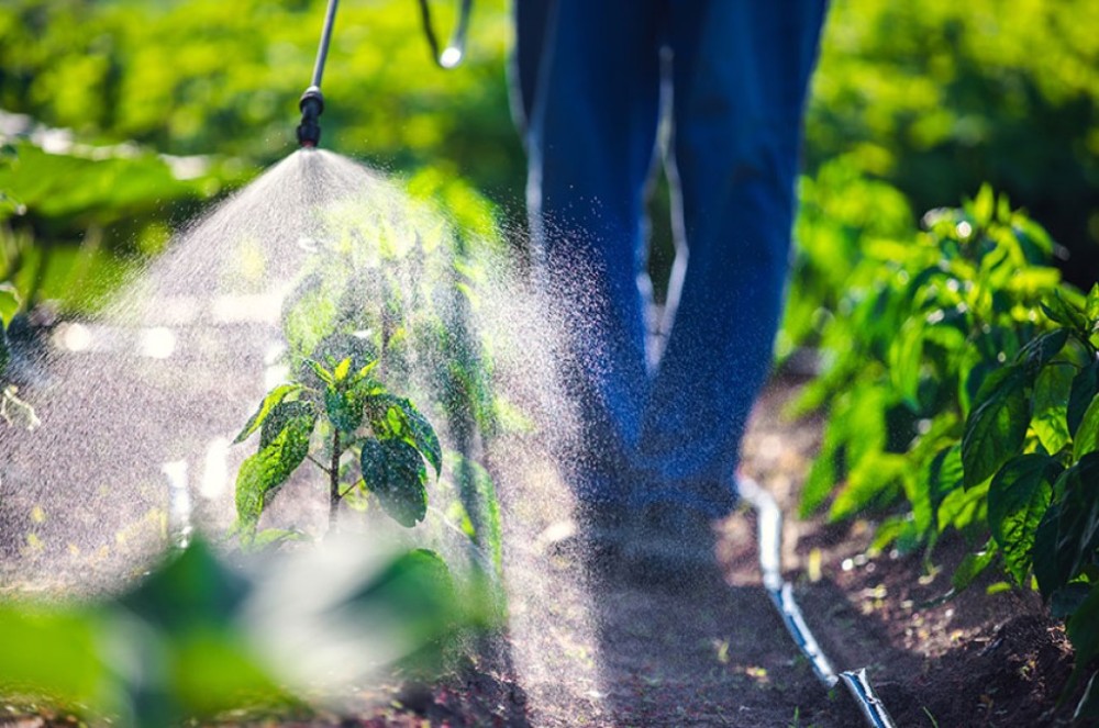 Fornecedor informará agrotóxicos usados na cadeia produtiva, propõe Zenaide