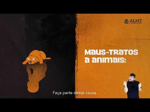 TESTE